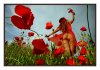 3/ballons rouges site.jpg